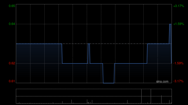 配资知识股 大唐西市获执董兼主席吕建中增持262万股 每股作价0.9599港元
