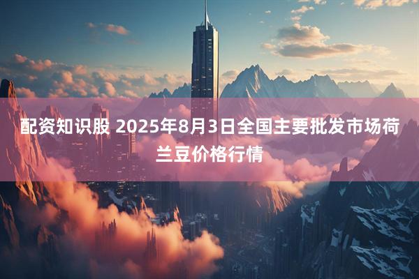 配资知识股 2025年8月3日全国主要批发市场荷兰豆价格行情