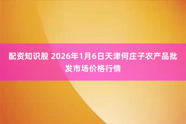 配资知识股 2026年1月6日天津何庄子农产品批发市场价格行情